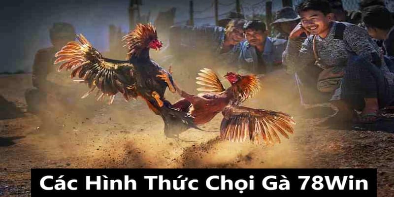 Đá gà tại nhà cái có đầy đủ mọi hình thức phổ biến nhất trên thị trường